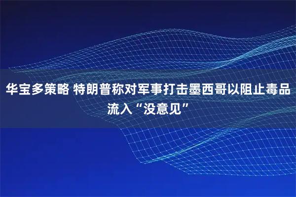 华宝多策略 特朗普称对军事打击墨西哥以阻止毒品流入“没意见”