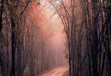 配资论坛网:十倍杠杆-全球市场：美股三大指数收盘涨跌不一 大型科技股多数下跌 英特尔跌约7%